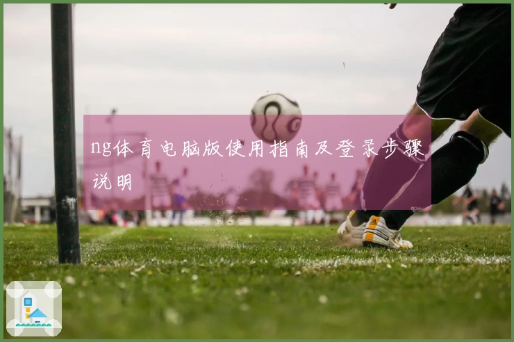 ng体育电脑版使用指南及登录步骤说明