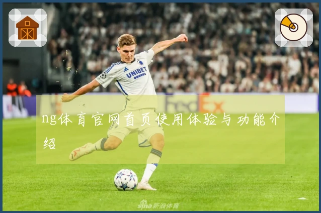ng体育官网首页使用体验与功能介绍