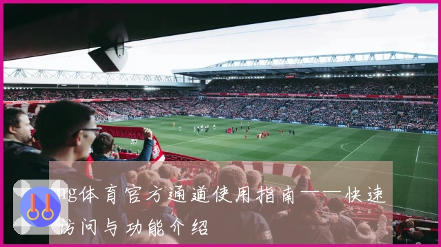 ng体育官方通道使用指南——快速访问与功能介绍