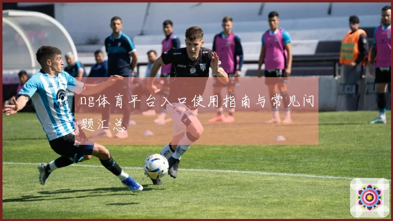 ng体育平台入口使用指南与常见问题汇总