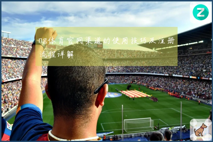 ng体育官网渠道的使用技巧及注册流程详解
