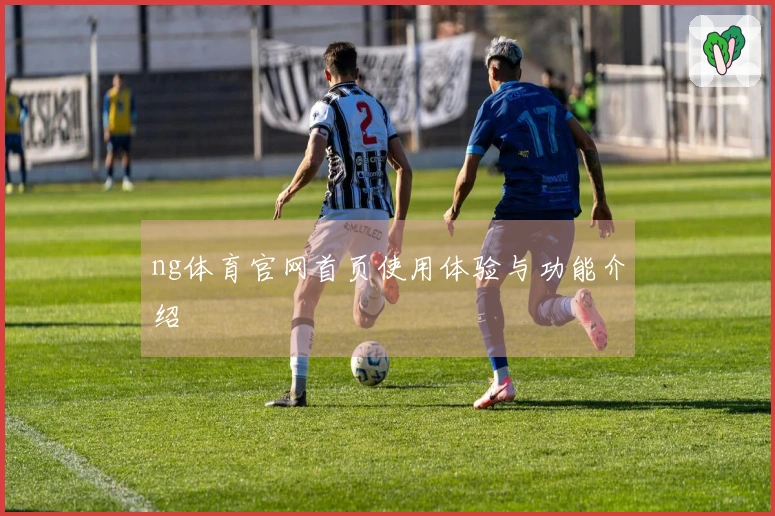 ng体育官网首页使用体验与功能介绍