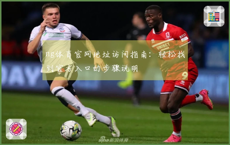 ng体育官网地址访问指南：轻松找到官方入口的步骤说明