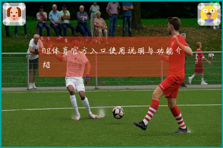 ng体育官方入口使用说明与功能介绍