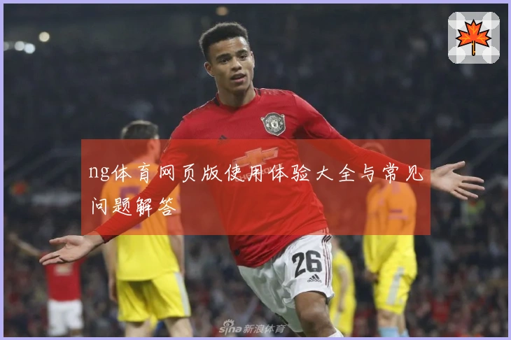 ng体育网页版使用体验大全与常见问题解答