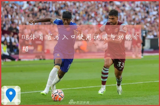 ng体育官方入口使用说明与功能介绍