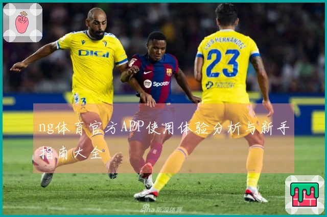 ng体育官方APP使用体验分析与新手指南大全