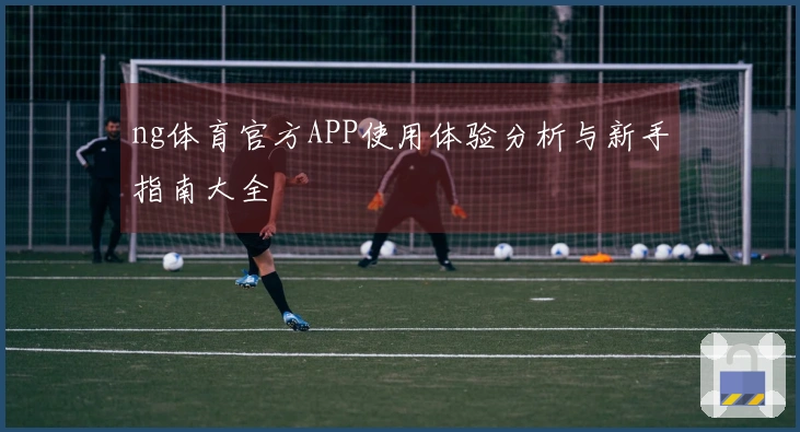 ng体育官方APP使用体验分析与新手指南大全